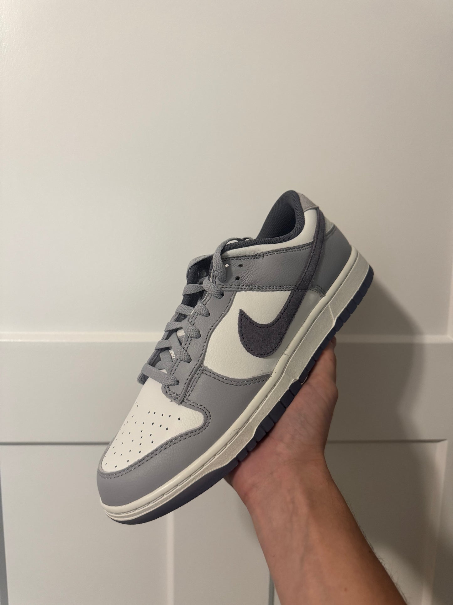 Nike Dunk “Light Carbon”