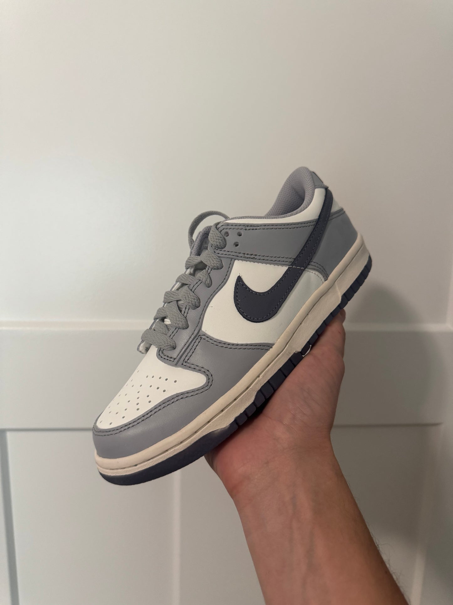 Nike Dunk “Light Carbon