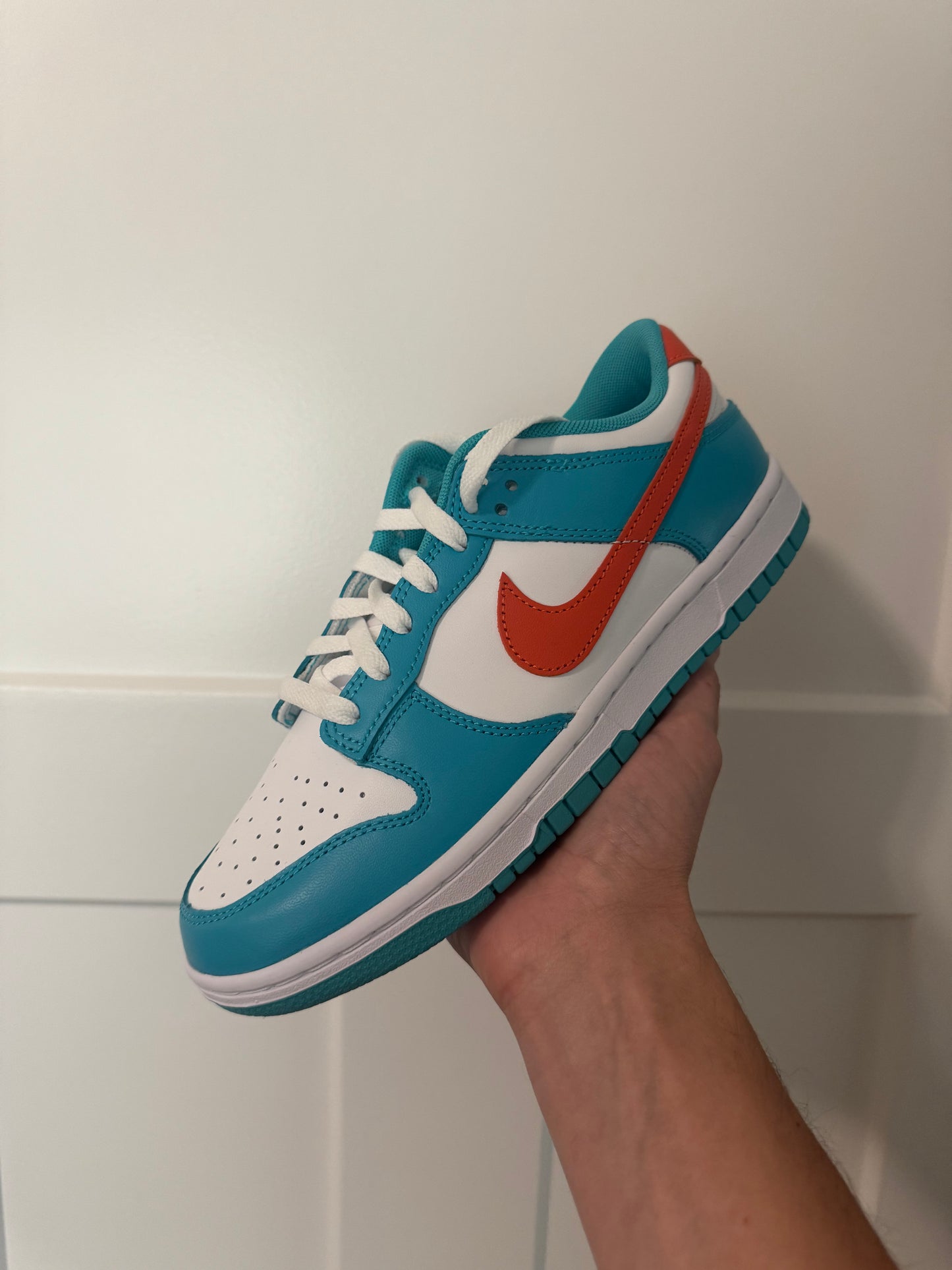 Nike Dunk “Dolphin”